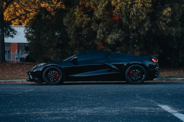 Casino Sticky Wilds Application Android/iOS